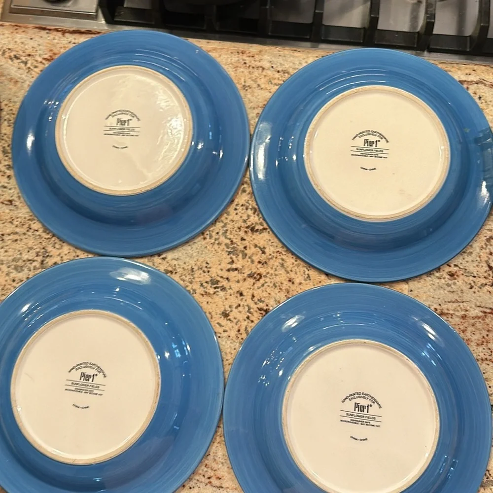 Pier 1 🌻 EUC Sunflower Fields Salad Plates - 1 plate listing Very Gently Used!
